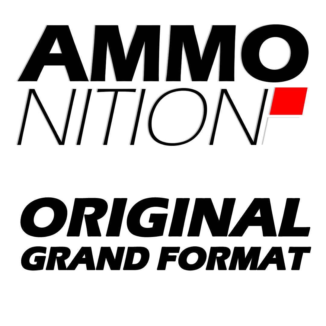 T-shirt - Ammonition GF